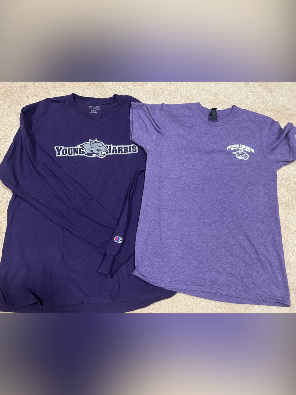 Young Harris college Purple Long-sl CHAMPION sz L+ heather purple short-sl sz M